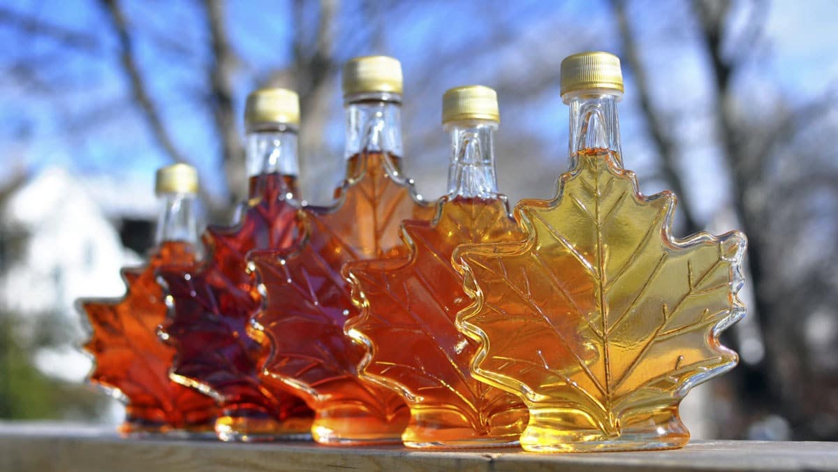 How to make maple syrup at home?